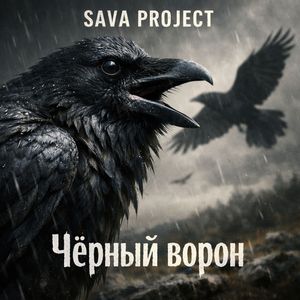Чёрный ворон