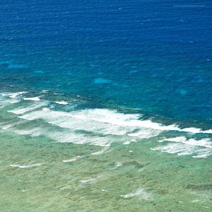 Moving Before I Think