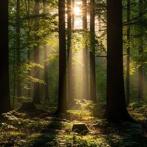 แสงแรกของวันนี้