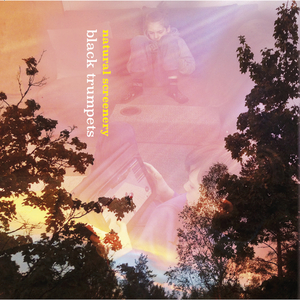 Kotikaupungin Kadulla