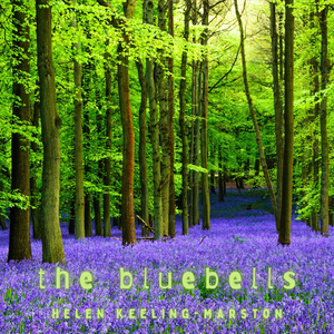 The Bluebells