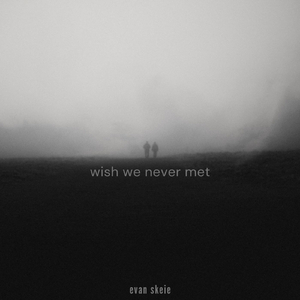 wish we never met