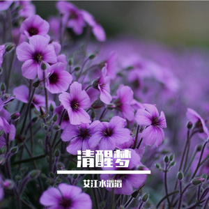 清醒梦