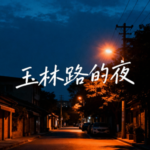 玉林路的夜