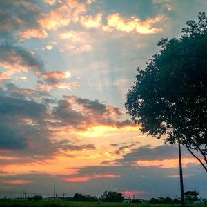 MI PEQUEÑO NOVIEMBRE