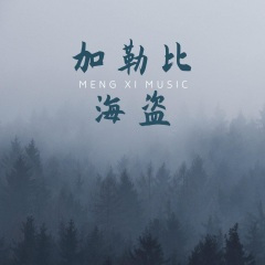 加勒比海盗 (REMIX)