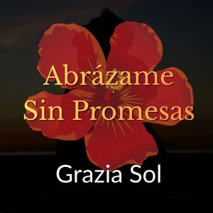 Abrázame Sin Promesas