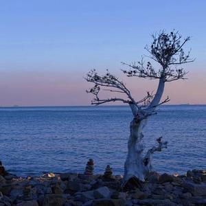 幻昼5.0 (忧郁版)