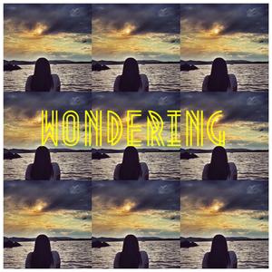 Wondering