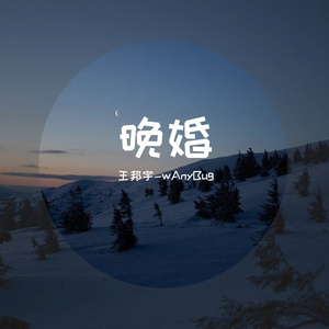 晚婚（隔壁老樊版）