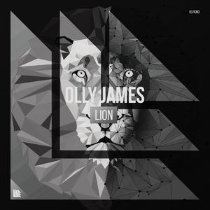 Lion (One Bootleg Edit)