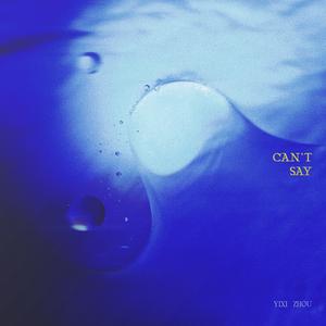 Can't Say