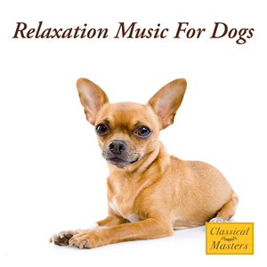 Canis Lupus Familiaris