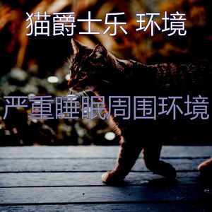 温和小猫梦想