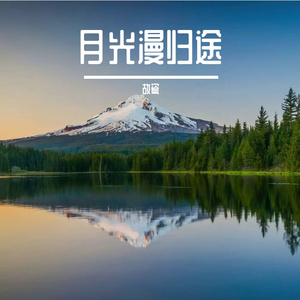 月光漫归途