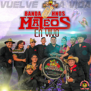 Gabino Barrera (En Vivo)