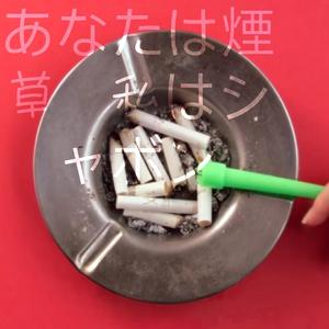 あなたは煙草　私はシャボン