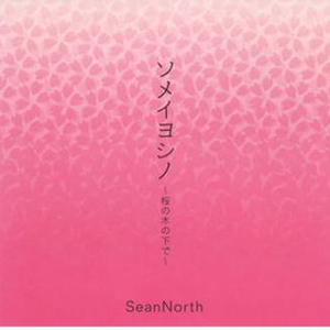 ソメイヨシノ ~桜の木の下で~