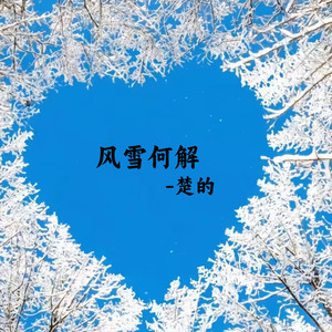 风雪何解