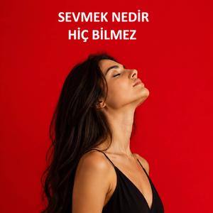 Sevmek Nedir Hiç Bilmez (Live Performance)