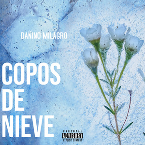 Copos De Nieve