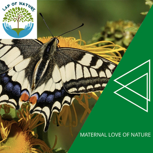 Spark of the Divine Fire