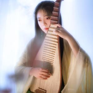 晚夜微雨问海棠（琵琶版）乐落清音