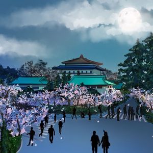 那时追过的云和月