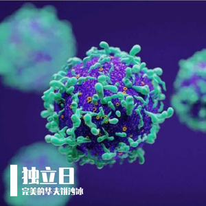 破浪