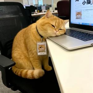 米泰曼波 哈基米