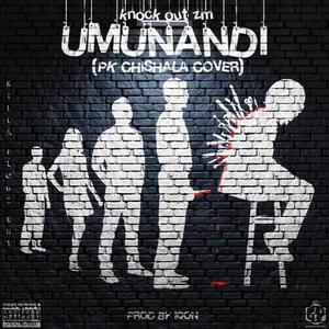 UMUNANDI (feat. PK Chishala)