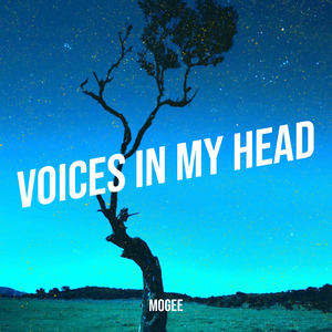 Voices in My Head