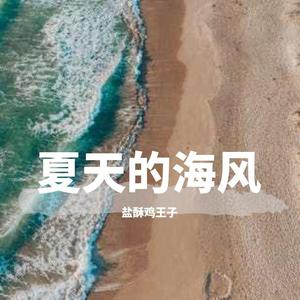 夏天的海风demo