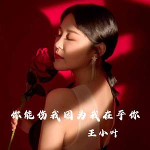 你能伤我因为我在乎你 (DJ阿能版)