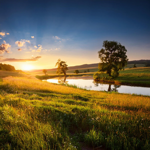 Secuencia De Flujo Armonizada