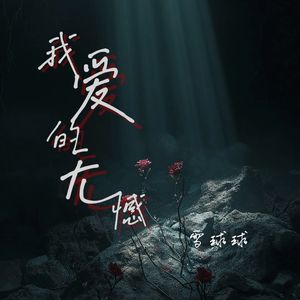 我爱的无憾