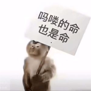 吗喽的命也是命