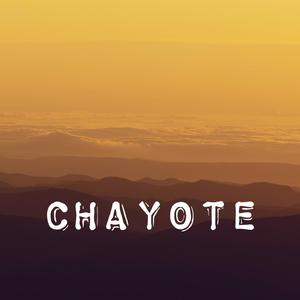 Chayote