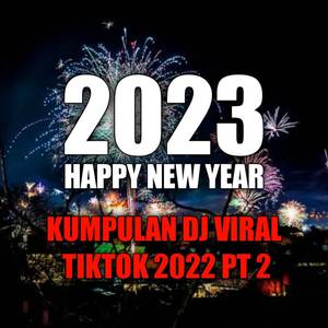 KUMPULAN DJ VIRAL TIKTOK 2022 PART 2