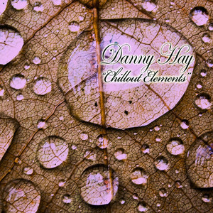 Cottonfield (D.H. Lounge Mix)