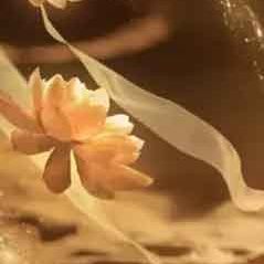 城里的月光