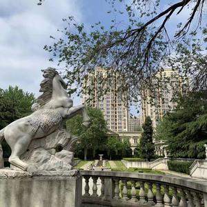 梨花笑（翻自 浙音4811（一个大金意））