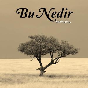 Bu Nedir