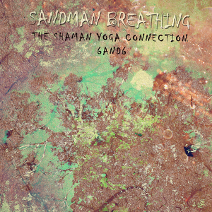 Shaman Yoga Meditation Cycle E11