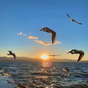 高架桥下的夜宵摊