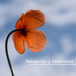 Masajes (Sanar el Alma y el Cuerpo)