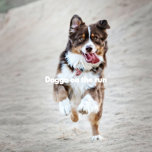 Hip Doggy Tails