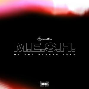 MESH