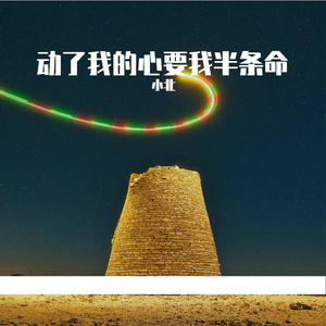 动了我的心要我半条命