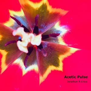 Acetic Pulse